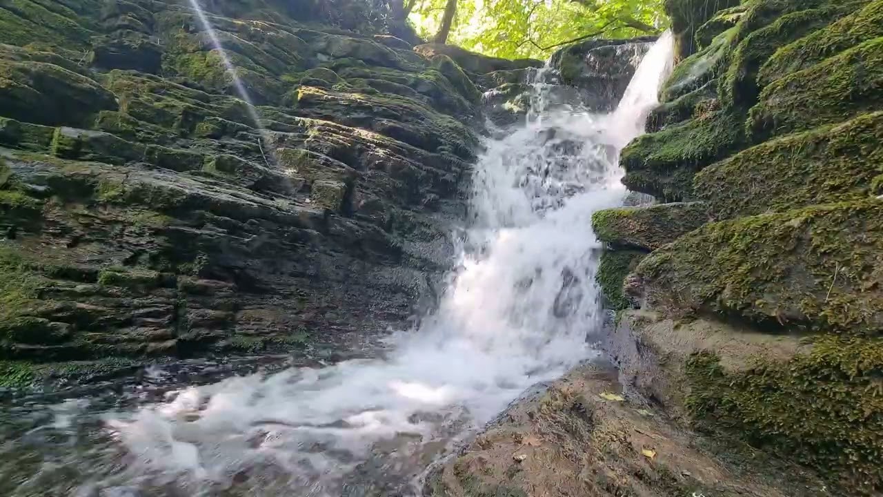 The Most Relaxing Waterfall Sounds for Deep Calm | Forest Ambience & ASMR