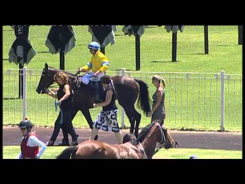 Ascot, 03/02/2016 - Race 1 - DAINTY TESS - Daniel Morton & William Pike