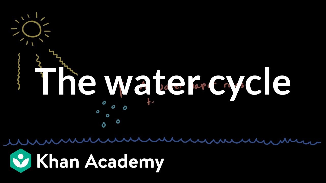 The water cycle | Weather and climate | Middle school Earth and space science | Khan Academy