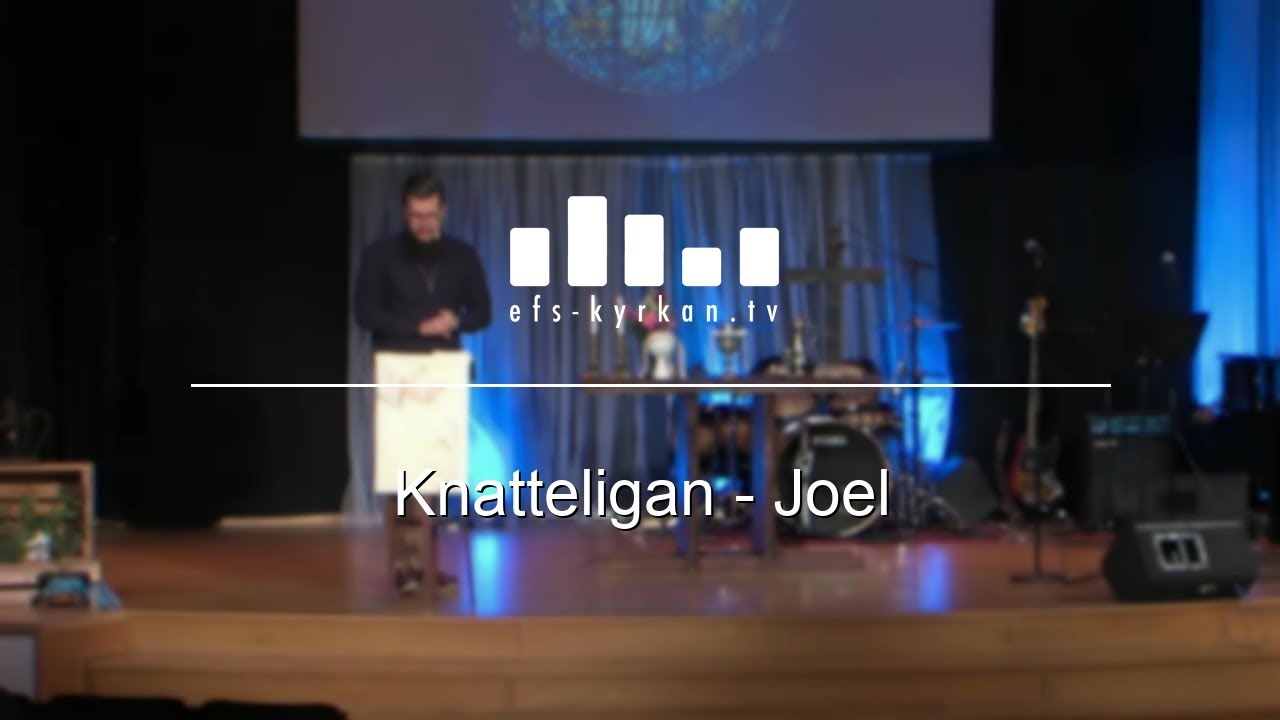 Knatteligan – Joel