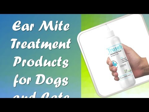 5 Best Ear Mite Treatment Products for Dogs and Cats in 2020