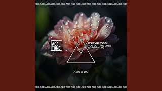Steve Tosi - You Got The Love (Santify Mix) video