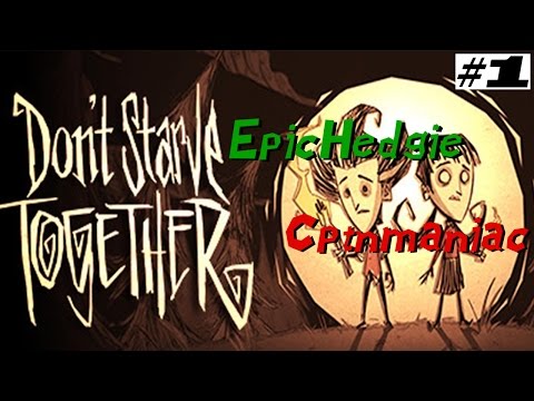Pennan är mäktigare än svärdet! | Don't starve together på svenska | Del 1 | 4 dagar