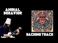 Buckethead Animal Behavior Backing Track