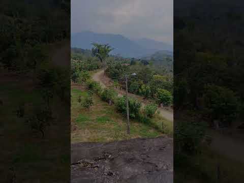 Piedra gorda (escritos ancestrales de los indígenas Guayupes) Lejanías, Meta.