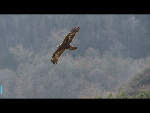 SPLENDIDAMENTE SCONOSCIUTA - La regione del Parco del Frignano e le sue bellezze.