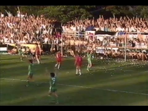 Aufstiegsrunde 1988/89: TSV Havelse - SC Preußen Münster 1:1