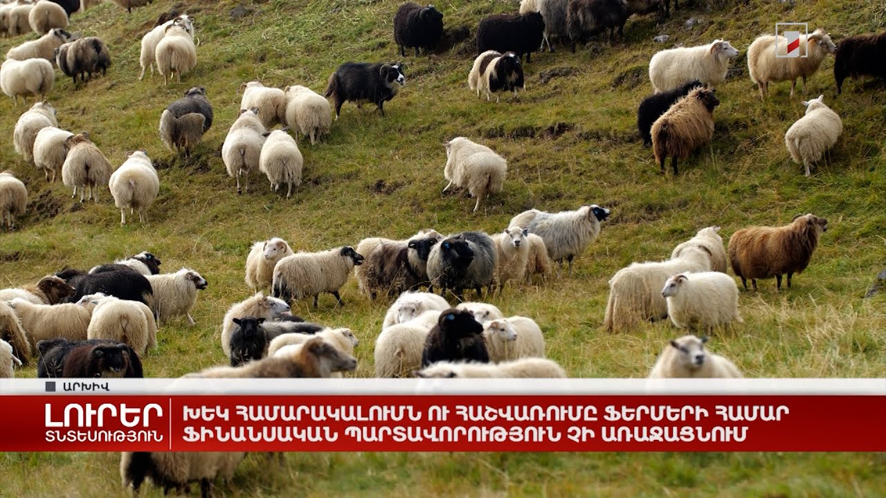 ԽԵԿ համարակալումն ու հաշվառումը ֆերմերի համար ֆինանսական պարտավորություն չի առաջացնում