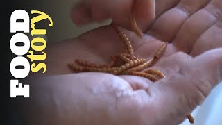 Thumbnail del capítulo