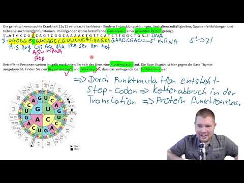 ABI-TRAINING - Genetik (10): Kettenabbruch durch Punktmutation  | Hättest du es beweisen können?