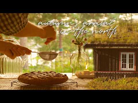 A Quiet Cozy Day at the Forest Cabin - Baking, Painting, Cottagecore Nature Walk - Slow Living Vlog