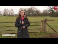 Friese boeren willen wolvenhek op de grens met Drenthe
