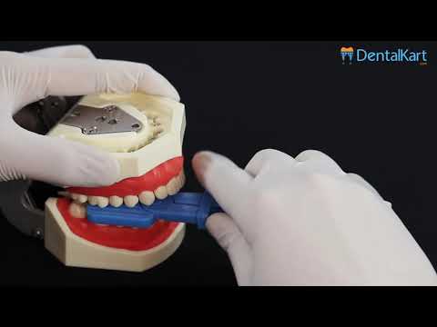 Cotisen X-Ray Film Holder