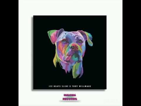 Tyler ICU × Ice Beats Skide & Troy Willmake (MY FRIEND) AMAPIANO SONG @amapianomusiq