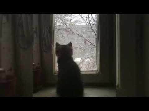 NICHKA x Golubenko - Забудь мене [speed up]