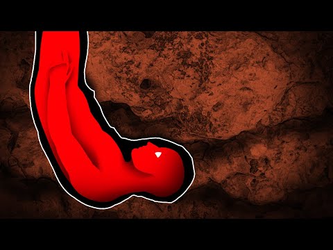 Höhlenforschung mit tragischem Ausgang | Der Vorfall in der Sharp’s Cave