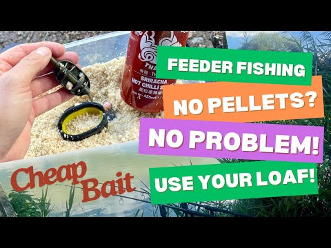 Method Feeder Fishing With Only Bread And Wafters