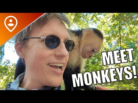 Gumbalimba Preservation Park - Roatan Honduras - Royal Caribbean Excursion!