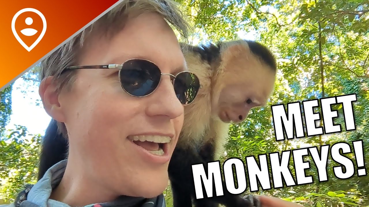 Gumbalimba Preservation Park - Roatan Honduras - Royal Caribbean Excursion!