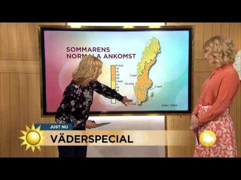 Hit har sommaren kommit! - Nyhetsmorgon (TV4)