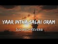 Yaar Indha Saalai Oram 《Slowed+Reverb》 | Vijay, Amala Paul | Thalaivaa | Reverbs Feelings