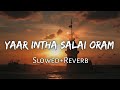 Yaar Indha Saalai Oram Slowed Reverb Vijay Amala Paul Thalaivaa Reverbs Feelings