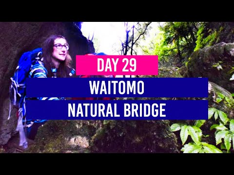 DIA 29 🗺️ Waitomo Natural Landbridge (atividade GRATUITA em Waitomo!) - Viagem à Nova Zelândia