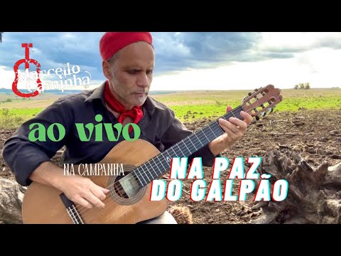NA PAZ DO GALPÃO, ao vivo na Campanha | MARCELLO CAMINHA
