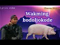 Wakming bodoljokode Full song Charan Momin /Lyrics video