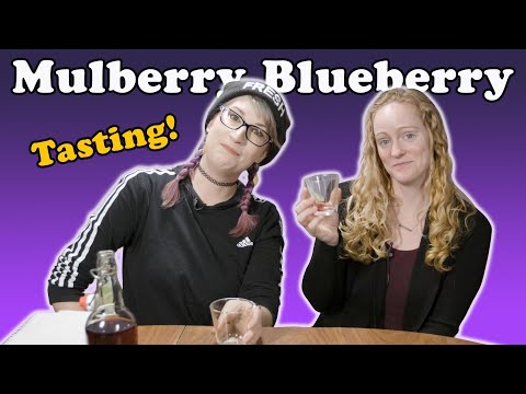 Mulberry Blueberry Mead Tasting!
