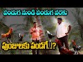 Pandem Kodi సంక్రాంతి సంబరాలకు సత్తిబాబు గా�