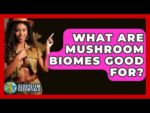 What Are Mushroom Biomes Good For? - Ecosystem Essentials