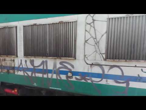 Il mitico caimano (E655.225)