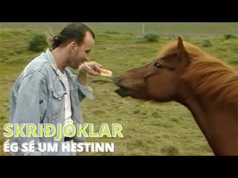 Skriðjöklar - Ég sé um hestinn - Upprunalega Tónlistarmyndbandið