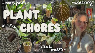 🌿 3 days of plant chores 🌿 mixing pon, flat mites, watering 💦