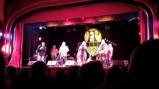 Cromer Folk on the Pier 2013 - Montage of all acts