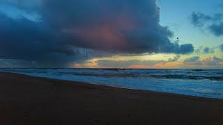 10 Minutes Relax - Dark clouds bringing rain to the beach with seagulls at sunset  🌧️🌅