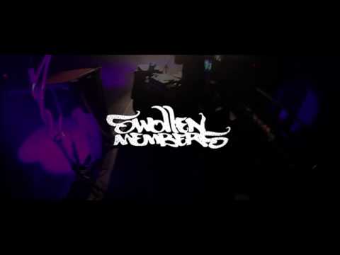 Swollen Members - Red Dragon (Live in Sydney, Nova Scotia)