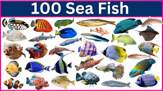 Discover 100 Amazing Sea Animals