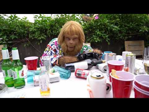 Hanging With Doctor Z: Season 3 Kickstarter is live!!!