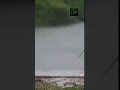 Dwadasiyil Nostalgia Rain Whatsapp Status Video