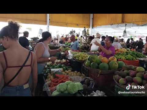 Feira livre de Acajutiba Bahia 
