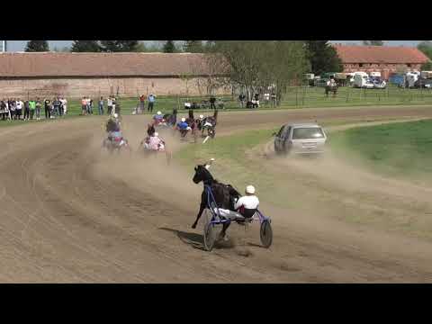 Trka "Timber Chans" 02.05.2021 Filante de Digeon - Novica Đorđević