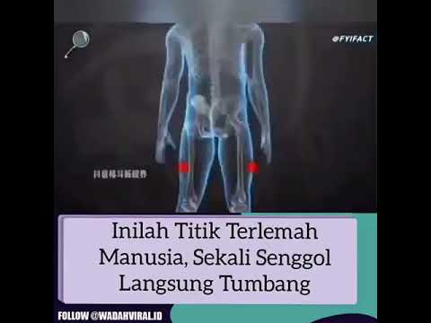 Titik terlemah manusia, sekali senggol langsung tumbang