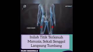 Download lagu Titik terlemah manusia, sekali senggol langsung tumbang mp3