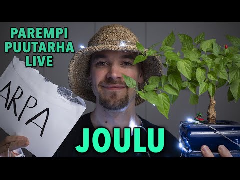 Puutarhatontun huikea JOULUSPESIAALI