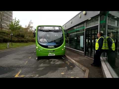 ride the little pinks 84 7