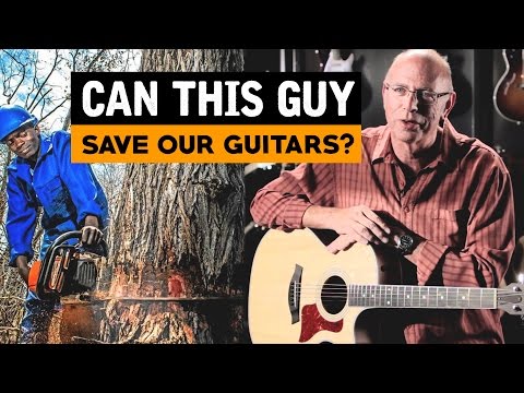 Can THIS Guy Save Our Guitars? Bob Taylor Interview