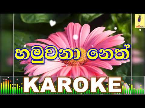 Hamuwana Neth - Kaveesha Kaviraj Karoke Without Voice
