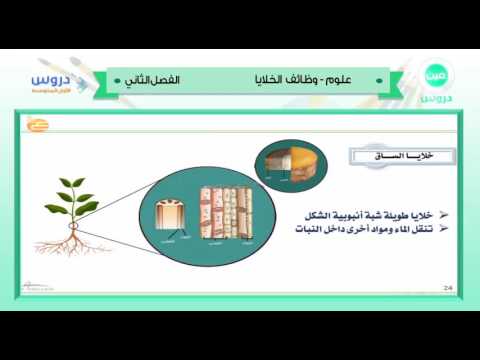 الاول المتوسط | الفصل الدراسي الثاني 1438 | علوم| وظائف الخلايا